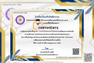 เกียรติบัตรออนไลน์ฟรี ครู นักเรียน ทำข้อสอบ ทำแบบทดสอบ แบบประเมินทักษะออนไลน์ประเพณีลากพระ Traditional Lak Phra และตักบาตรเทโว วันออกพรรษา66