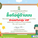 เกียรติบัตรออนไลน์ฟรี 2567 ครู นักเรียน นักศึกษา ทำแบบทดสอบ กิจกรรมส่งเสริมการอ่าน วันสถาปนาลูกเสือแห่งชาติ สวนศรีวิทยา