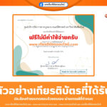 เกียรติบัตรออนไลน์ฟรี เพียงทำแบบทดสอบ ความรู้เบื้องต้นเกี่ยวกับกฎหมายควบคุมบุหรี่ไฟฟ้า มหาวิทยาลัยเชียงใหม่ คณะนิติศาสตร์ 2568
