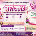 เกียรติบัตรออนไลน์ฟรี แบบทดสอบออนไลน์ เรื่อง กล้วยไม้ ผ่านเกณฑ์ 70 ห้องสมุดประชาชนอำเภอพระนครศรีอยุธยา